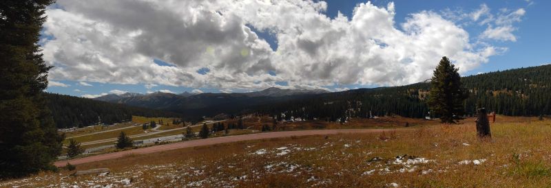 a large field with some tall trees and a sky full of clouds