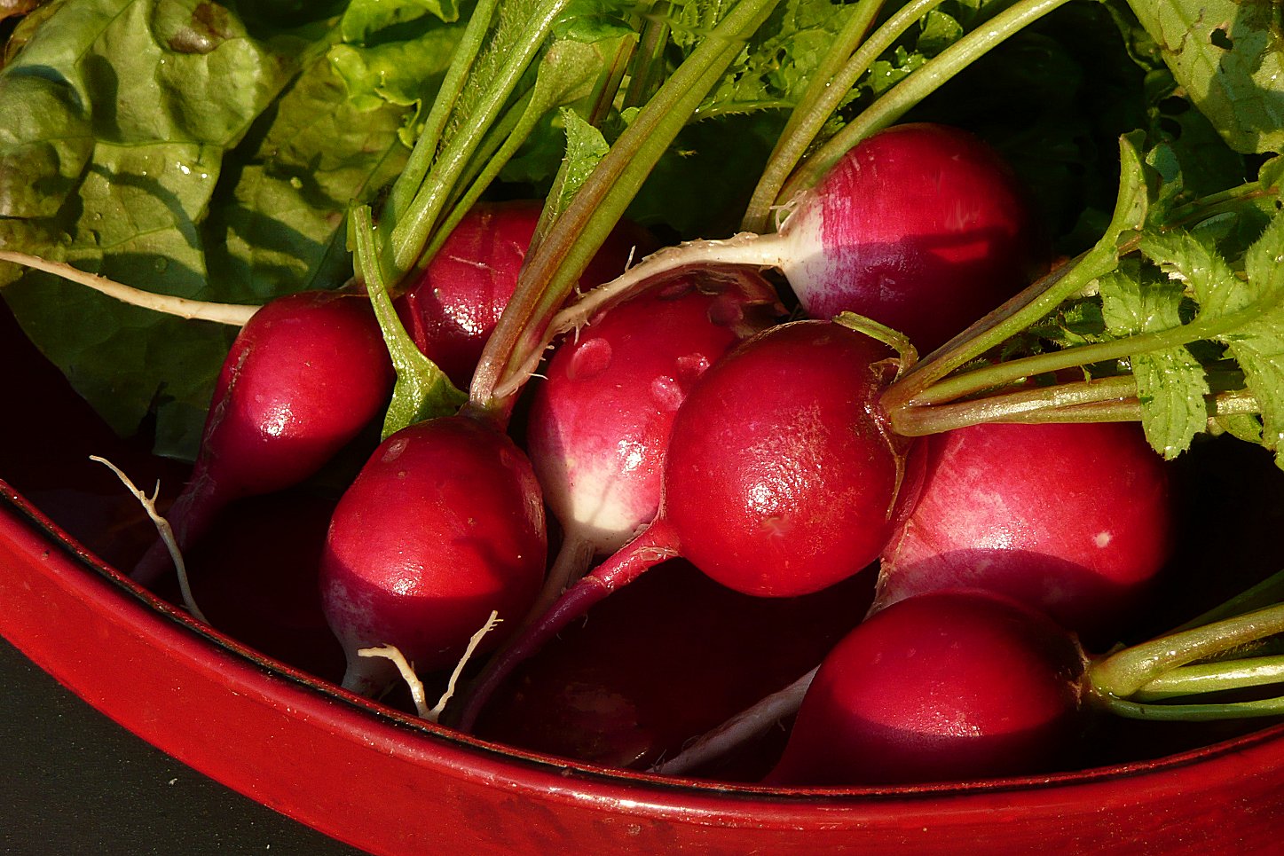 bunches of radishes in a red bowl next to lettuce
