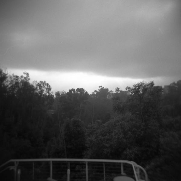 a view from inside a vehicle of the jungles
