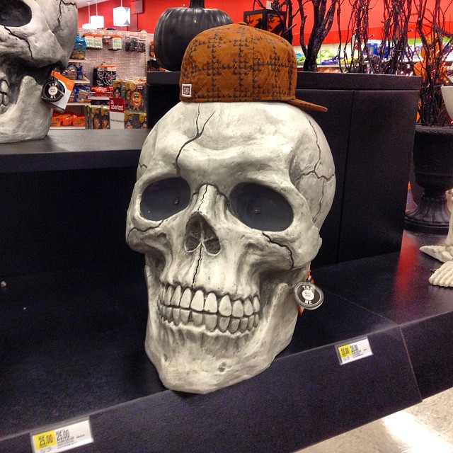 a close up of some type of skull in a store