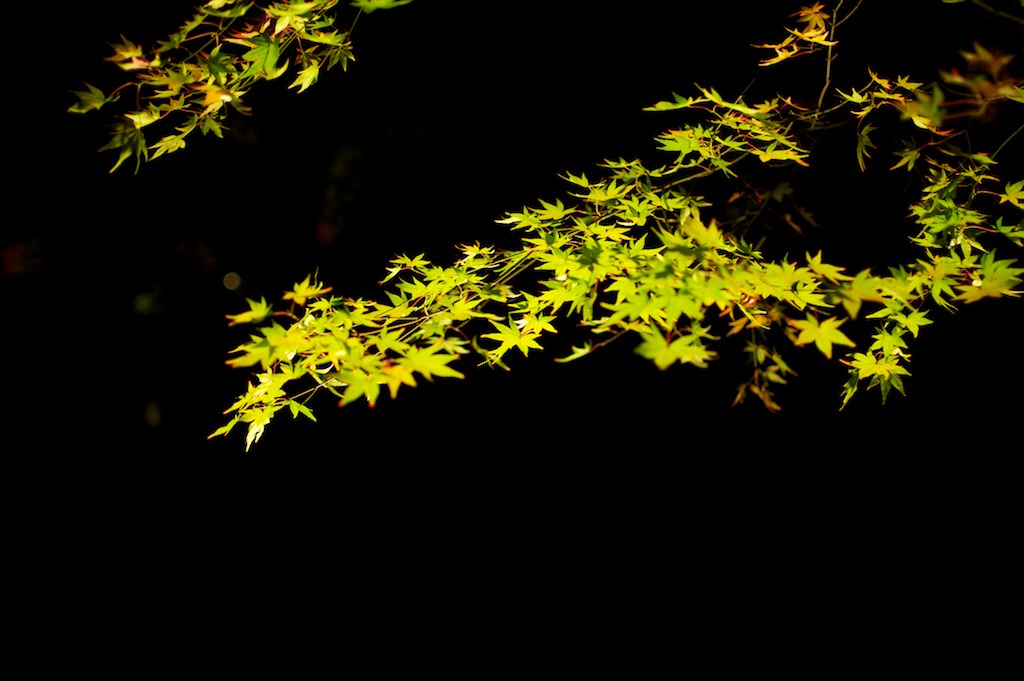 a yellow nch in the night with some blurry light