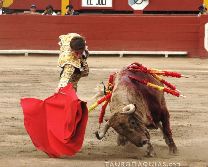 a man is trying to pull off a bull during a matama