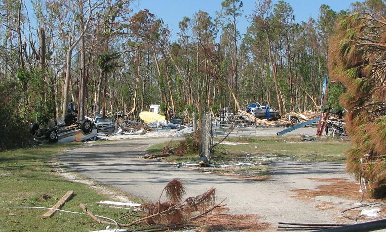 a street with trees and debris on the side