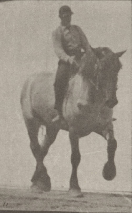 a man riding on the back of a horse