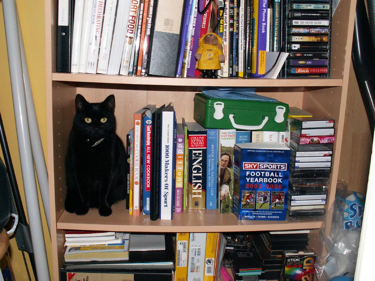 a black cat sitting on a book shelf next to books