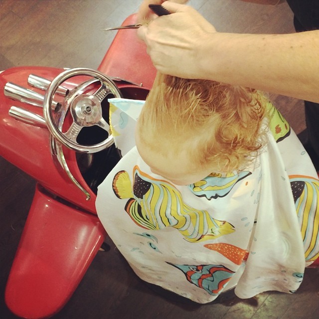 a little boy having his hair cut by someone