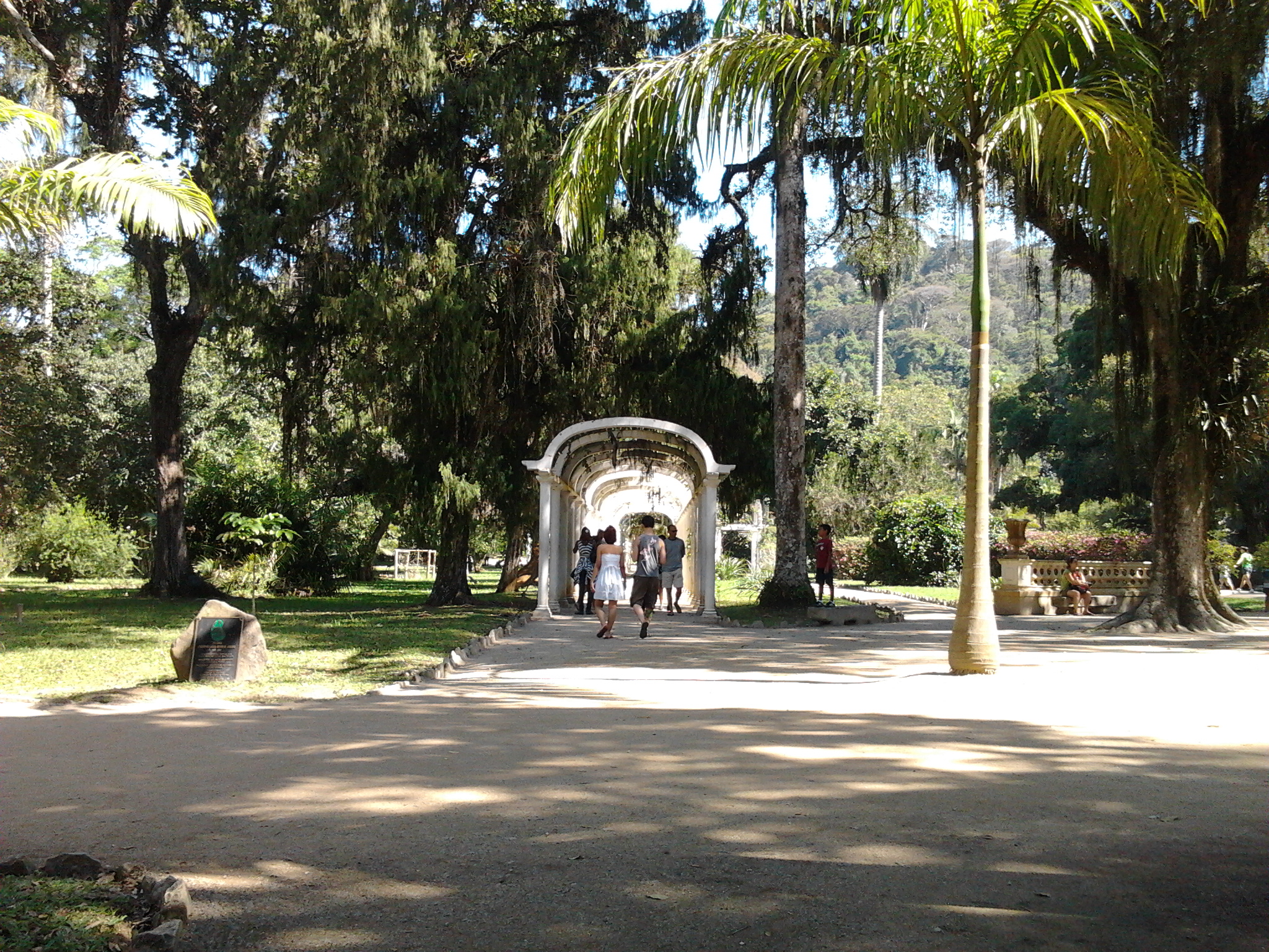 a group of people are walking down the pathway