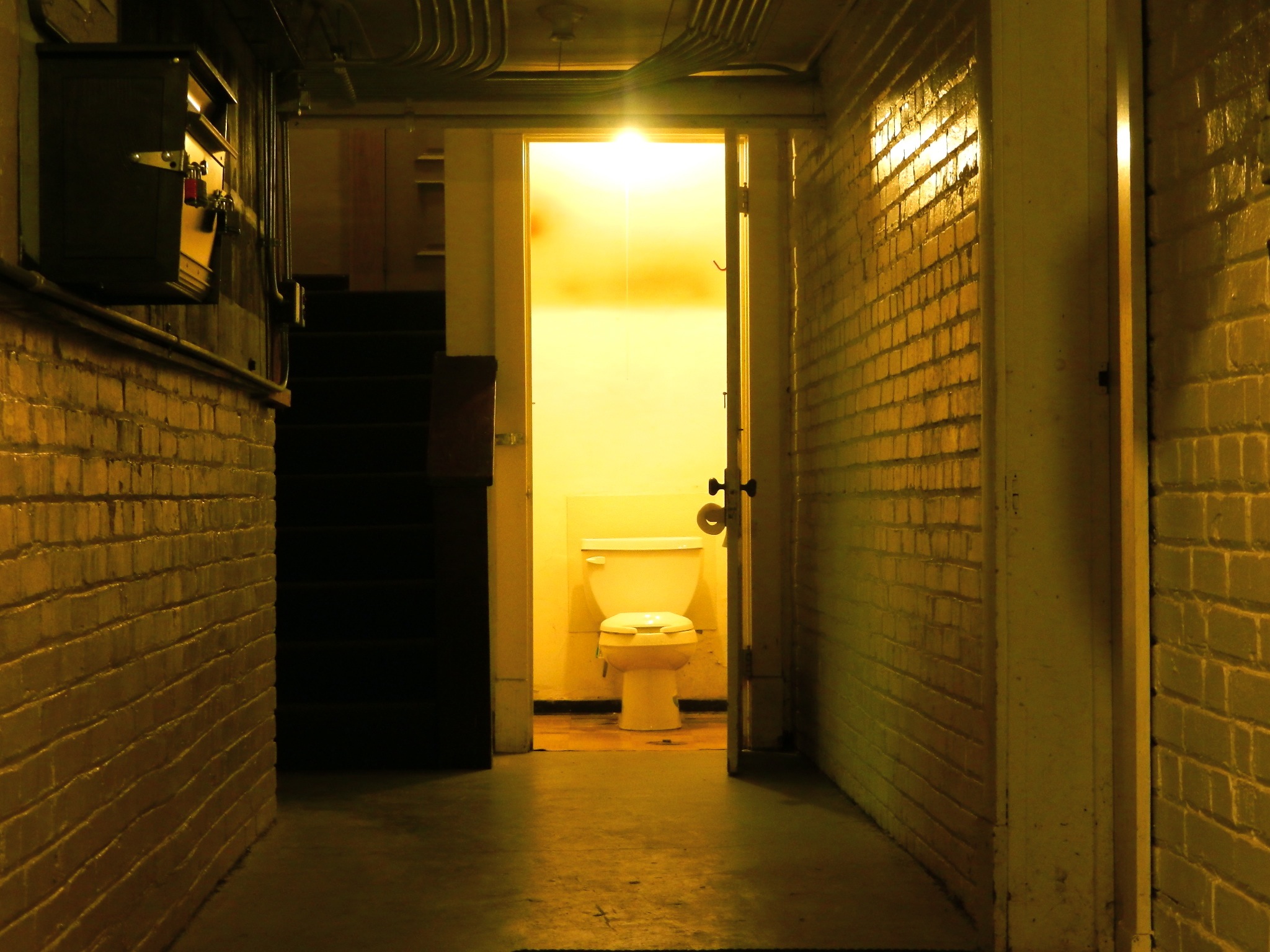 a hallway with brick walls and a toilet