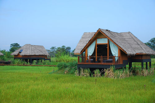 two huts in a field with grass covering the roof