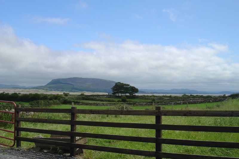 a country road lined with lots of green grass