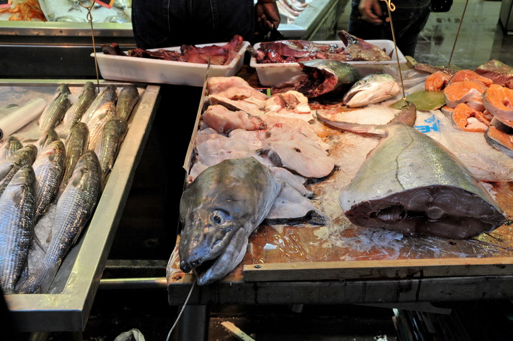 a market display with assorted fish in a display case