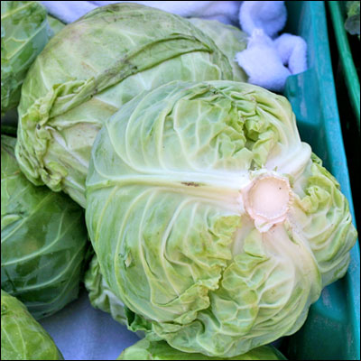 lettuce and other vegetables in baskets with a blue background