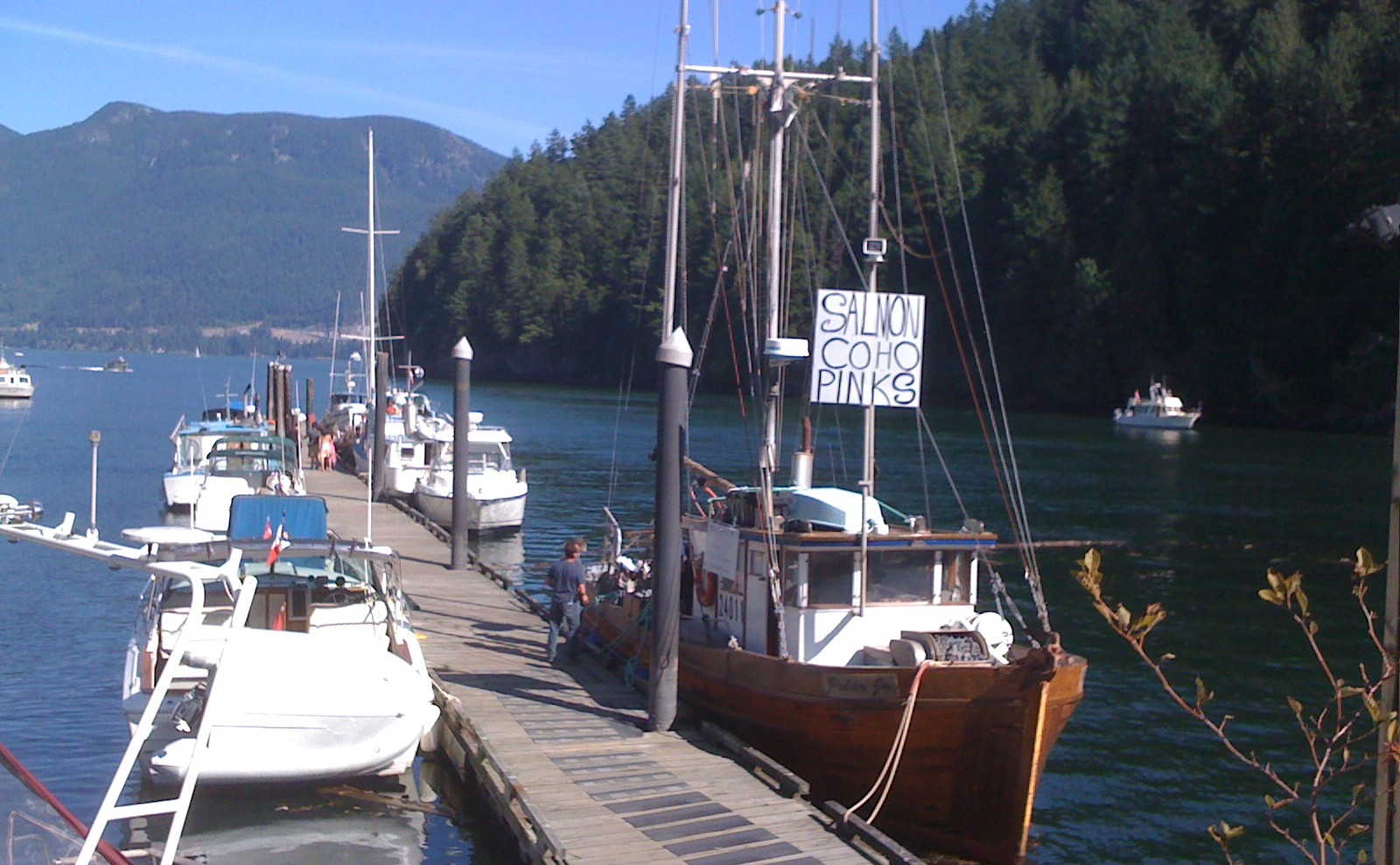 a bunch of small ships parked at a pier