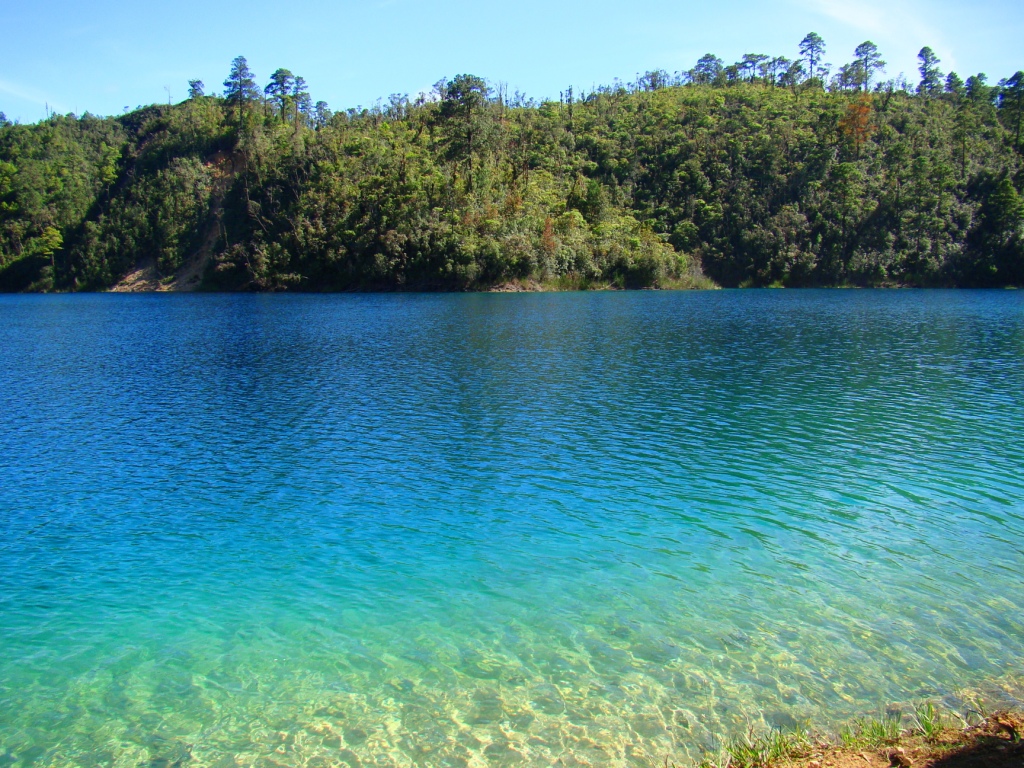 clear blue waters are surrounded by a forest on the shore