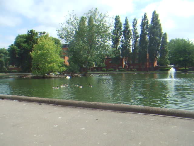 the pond is very quiet and quiet for some animals