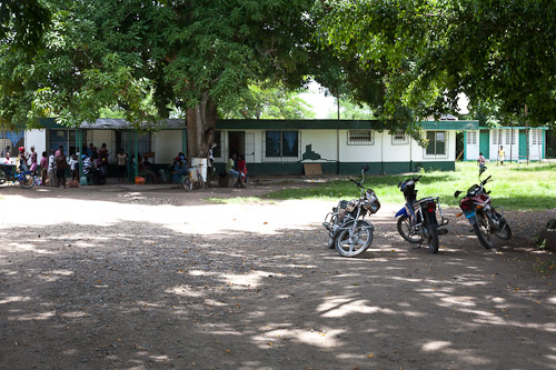 a group of motorcycles parked underneath some large trees