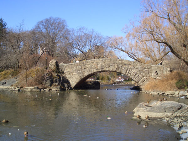 a stone bridge over a river with ducks swimming below