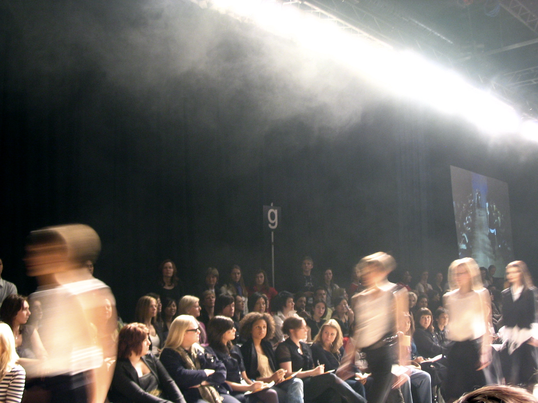 a crowd watches models on the runway