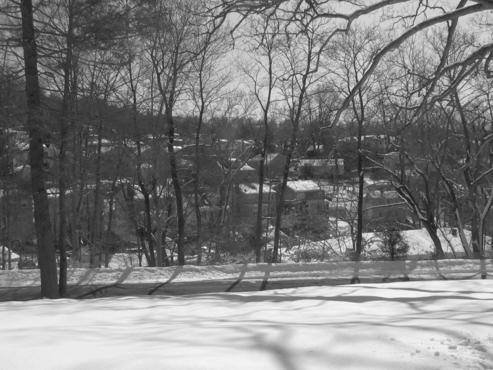black and white po of the view of a small village in the woods