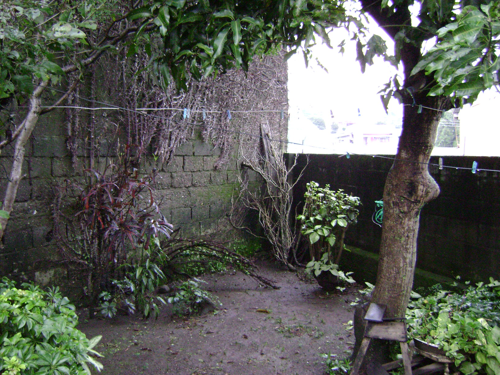 a patio with plants and fence next to it