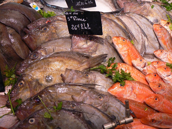 assortment of fish displayed in a market place
