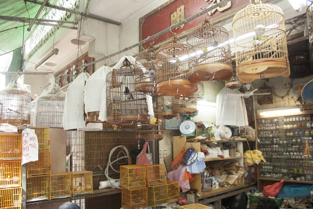 the interior of a bird market filled with cages