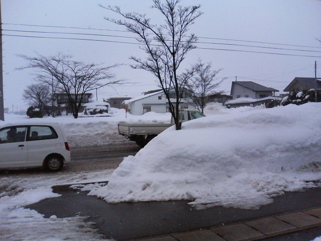 cars are buried in deep snow and trees in the street