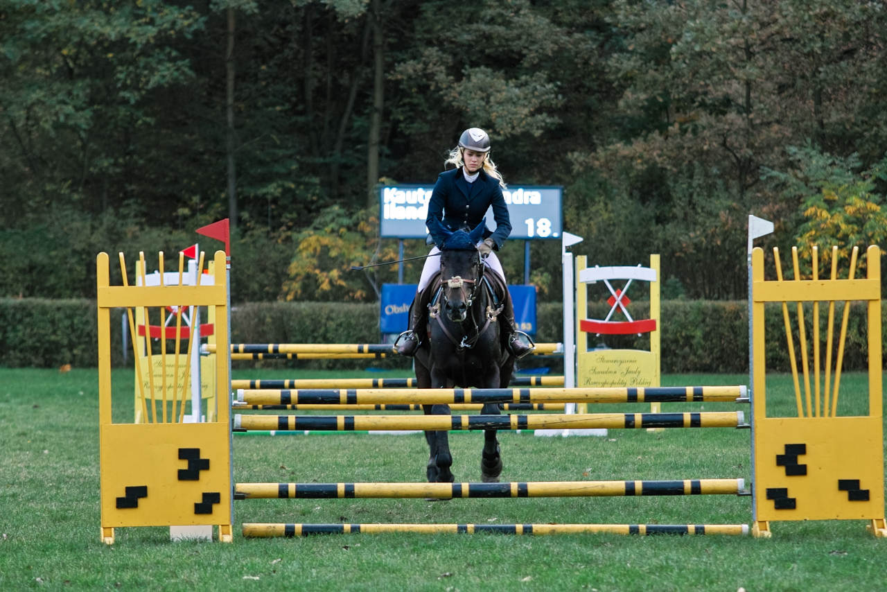 a  is riding on a horse and jumping over an obstacle