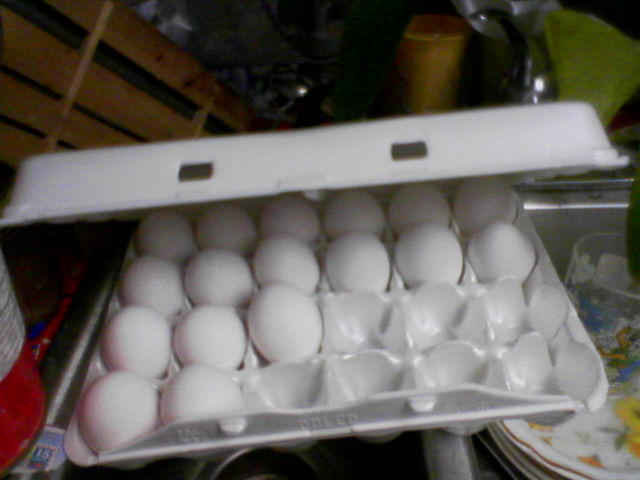 an egg tray full of broken eggs