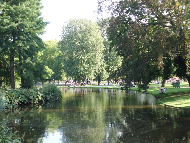 a body of water with many trees around it