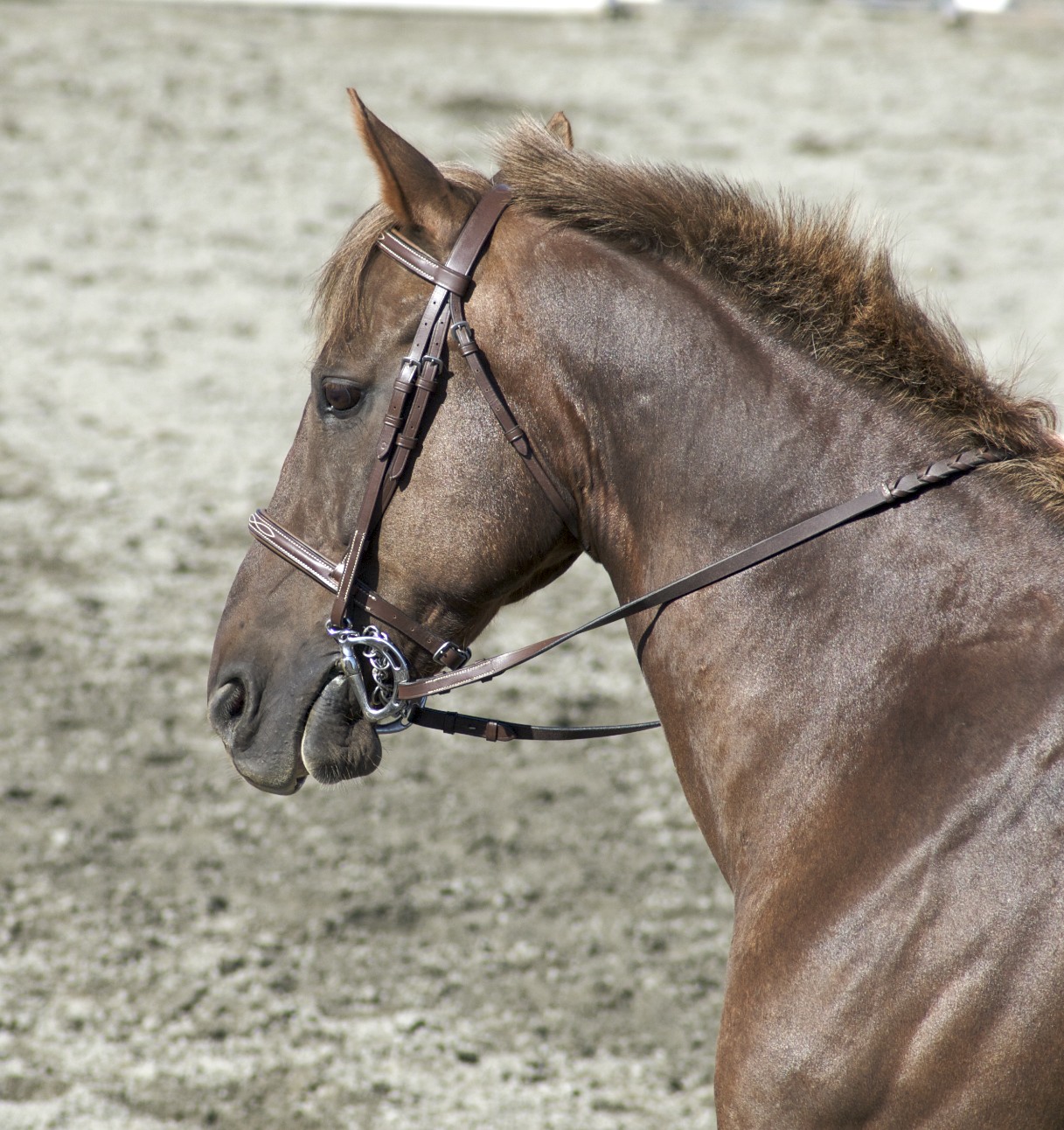 a brown horse with an open nose and mane standing in dirt area