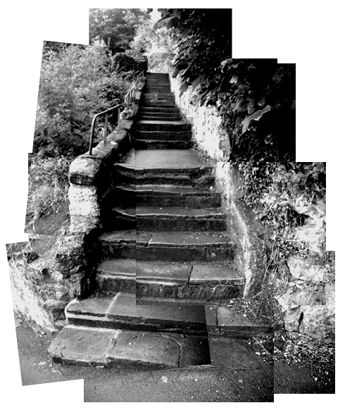 a steep stairway of stones in a forested area