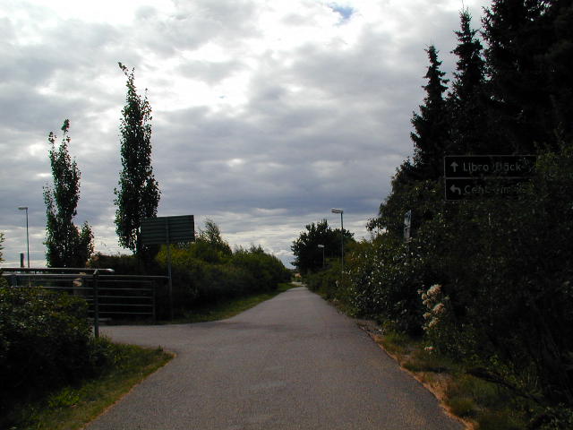 a street sign near a road near some bushes