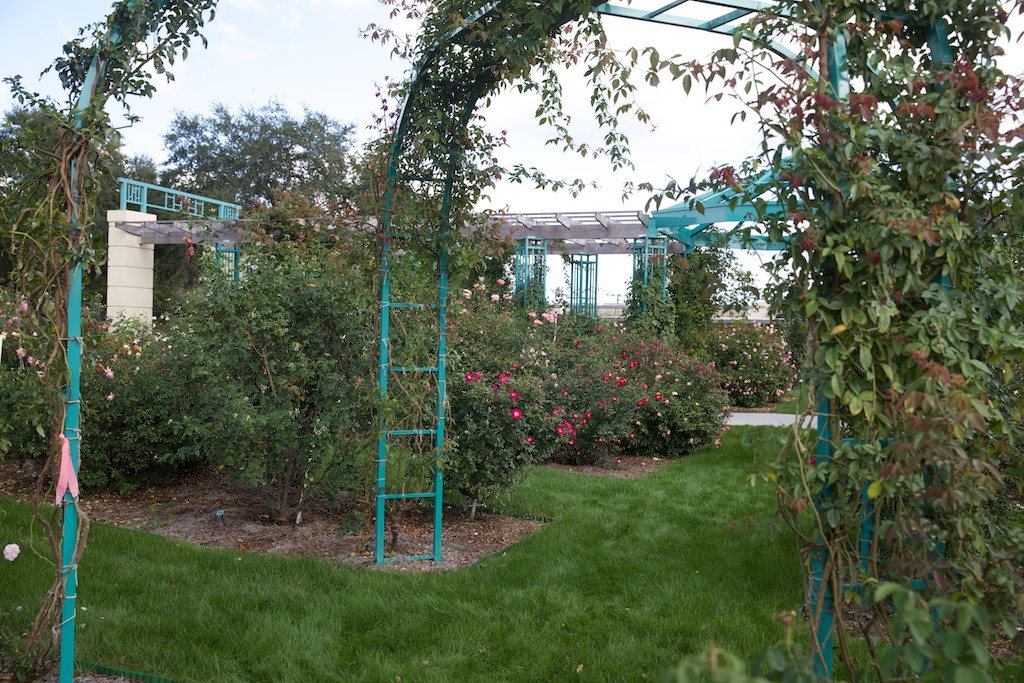 an empty garden is surrounded by flowering shrubbery