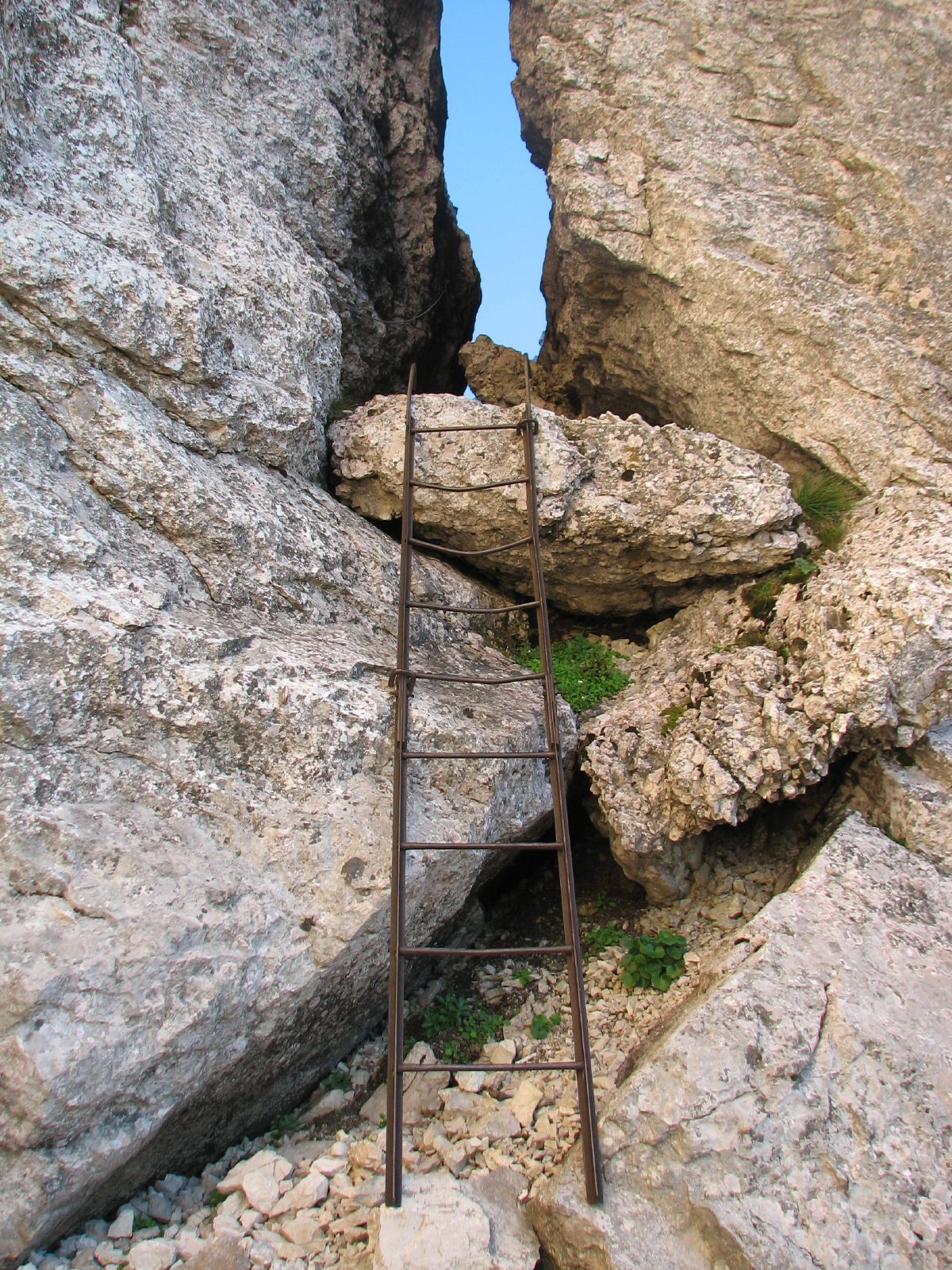 there is a ladder leading up into the rocks