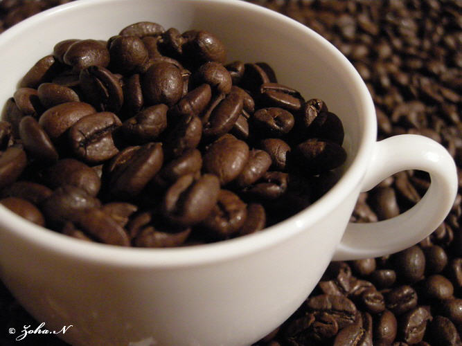 a cup filled with coffee beans on top of a pile of ground