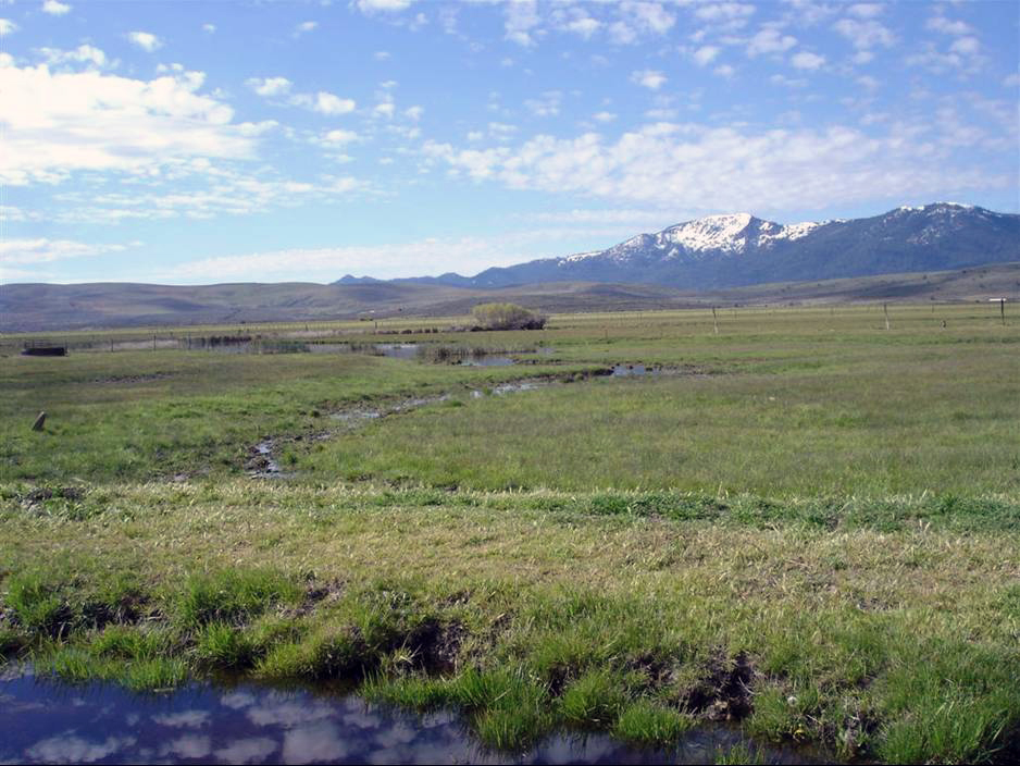 grassy field with mountain range in background