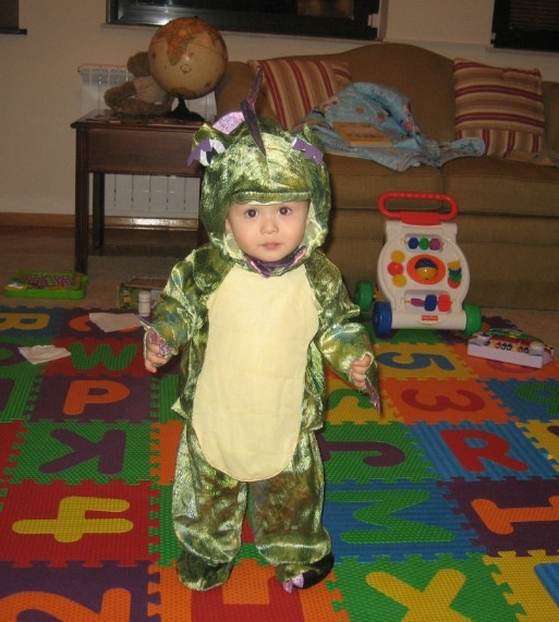 there is a young child dressed up as a dragon