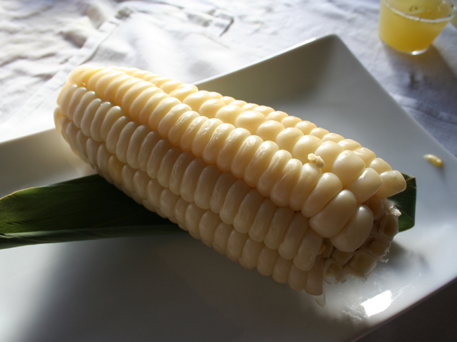 a white plate with corn and er on it