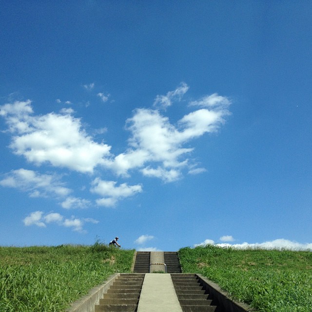 the stairs lead into the green grassy hill