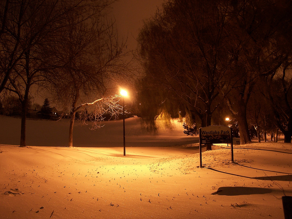 a snowy park and street at night, with lights in the background