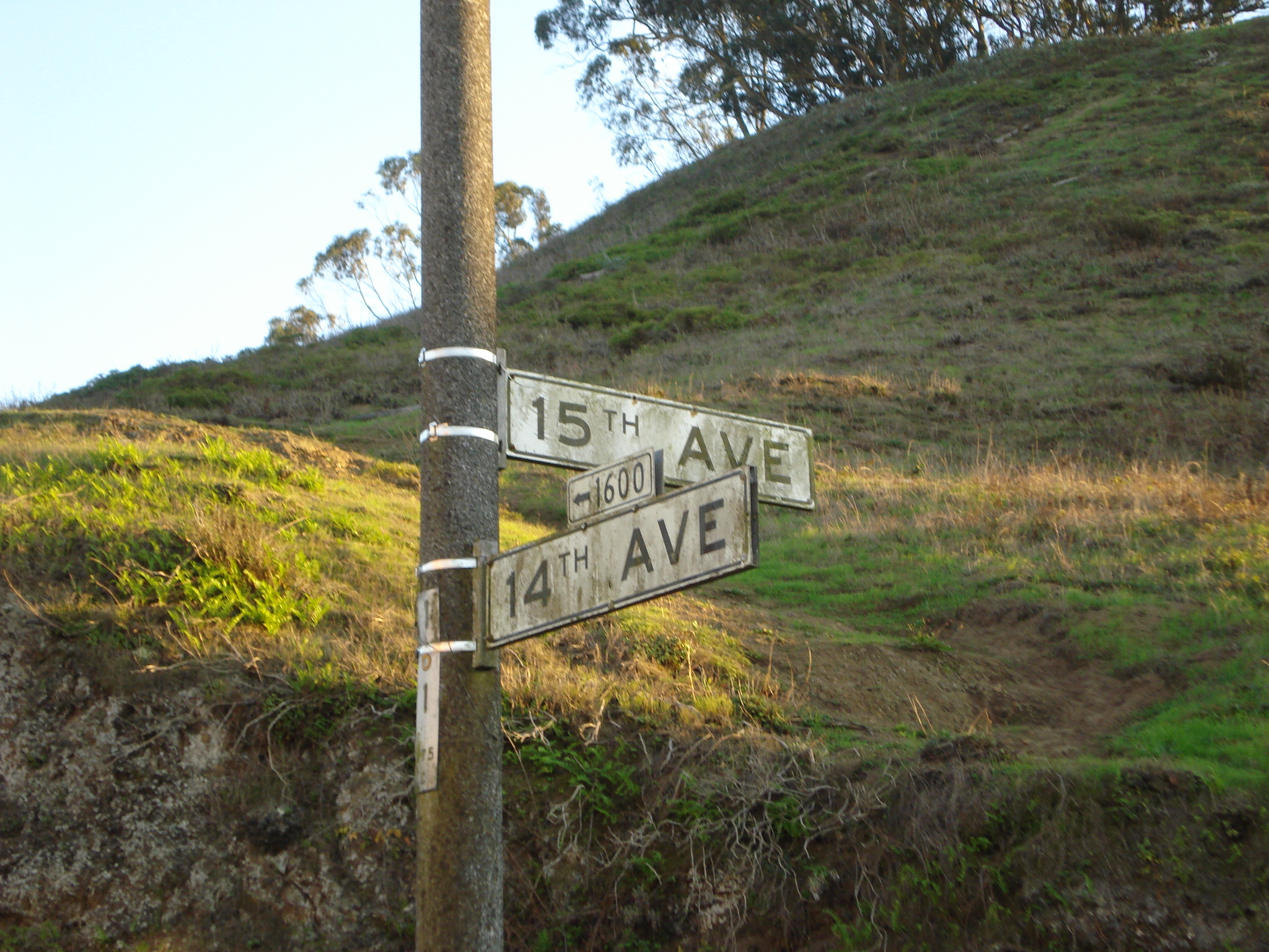 street signs pointing to various streets and destinations