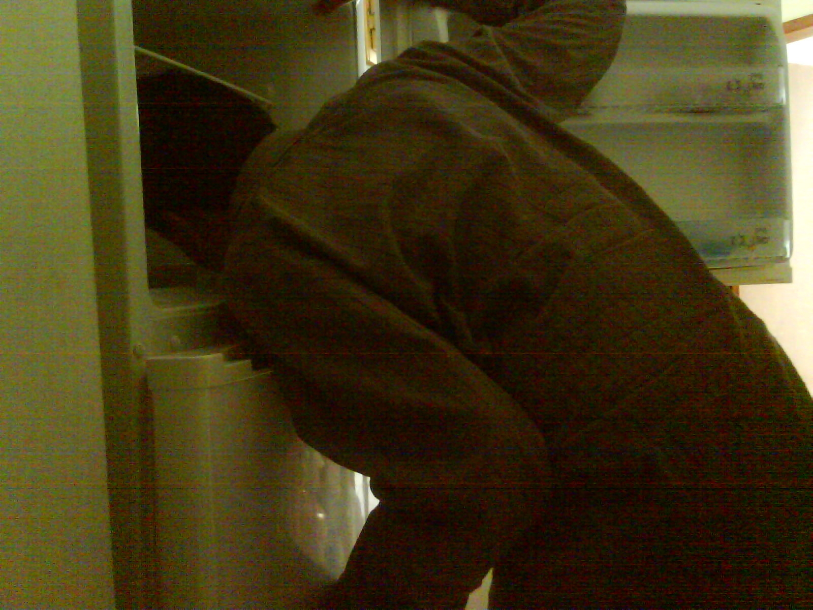 a person in an open doored refrigerator leaning against it