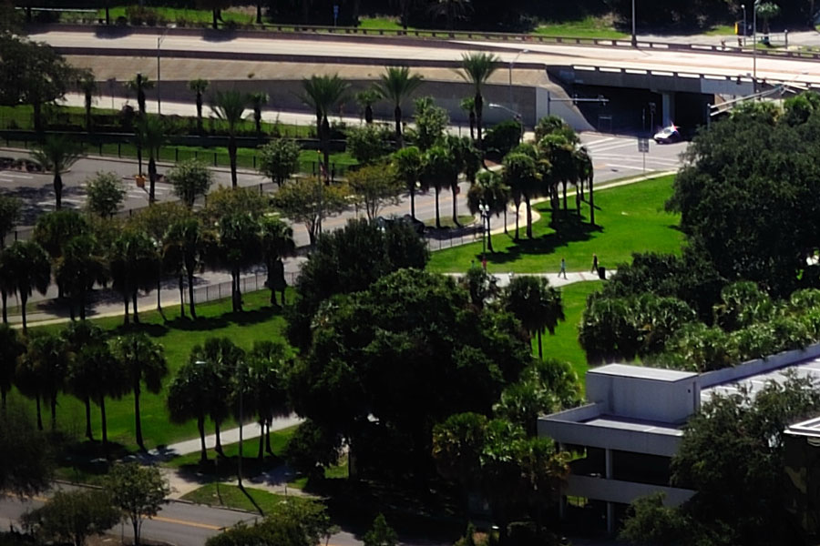 green area on top of walkway with plants and trees