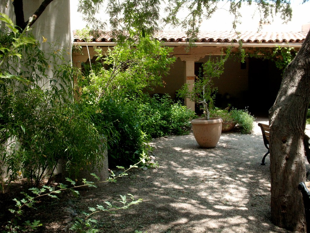 a garden with a bench sitting near a tree and bush