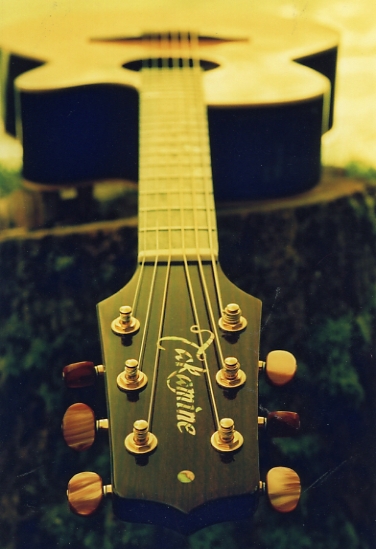 a guitar resting on top of a wooden post