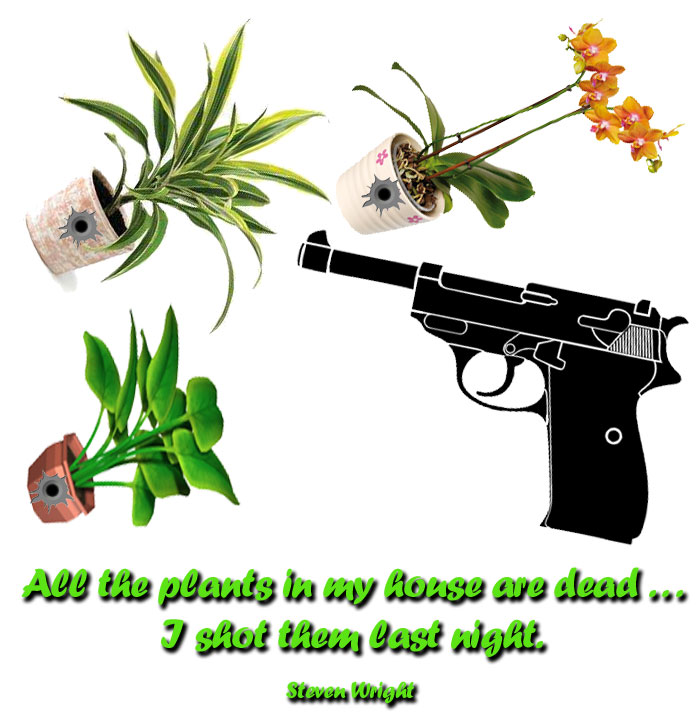 the flowers are in the gun and one is on the other