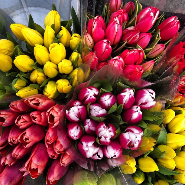 a bouquet of colorful flowers is being held