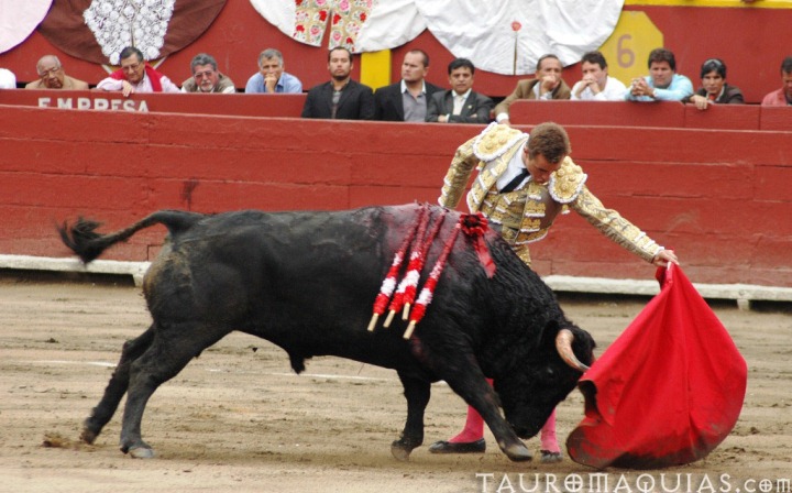 the bull is fighting a man in a corral