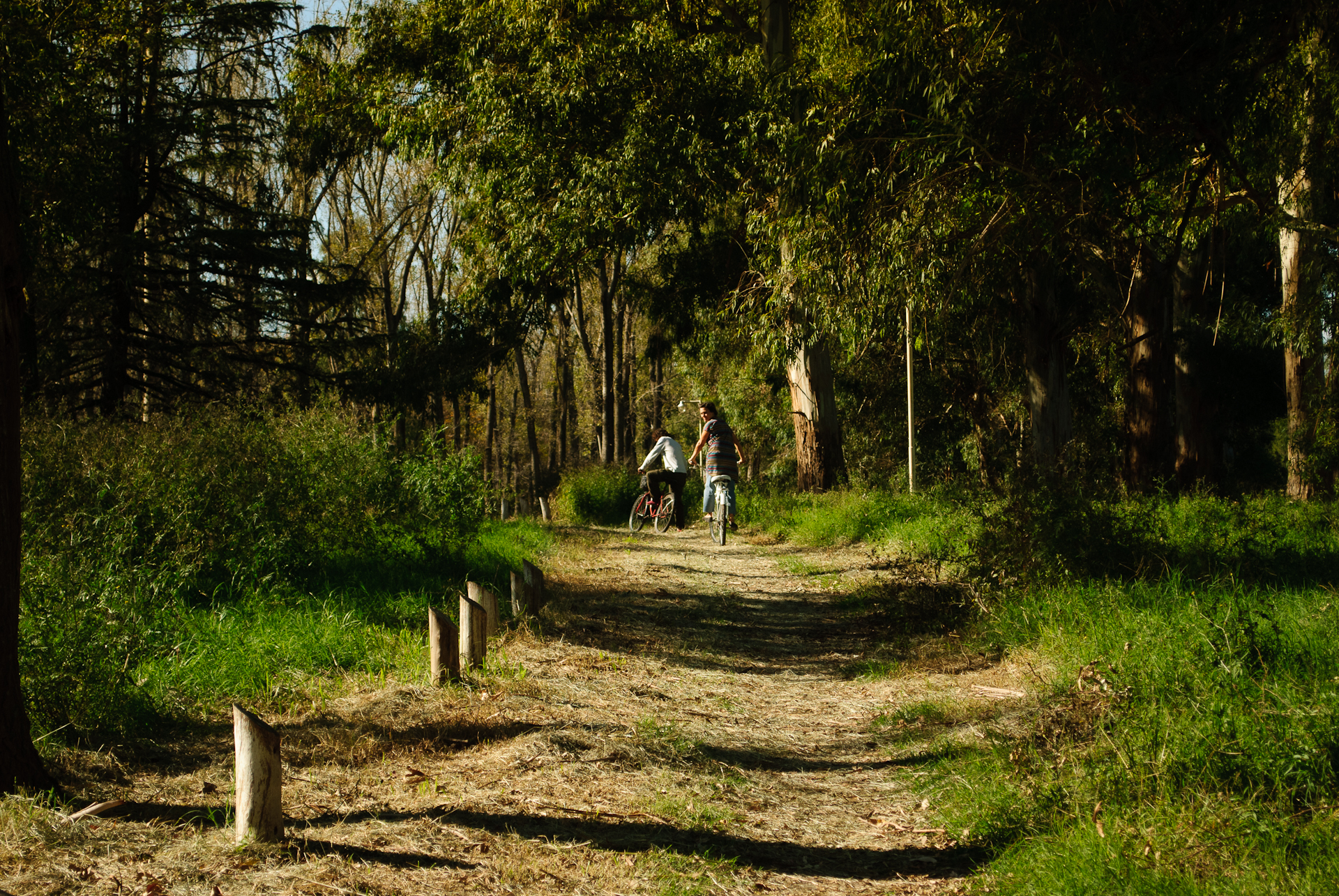 a man and woman are riding bicycles on a dirt road